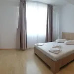 Apartment Sea Corner Navodari